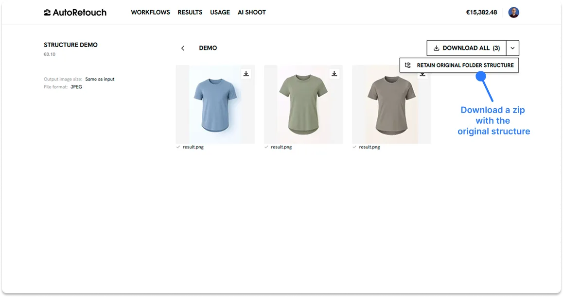 Download results with folder structure options