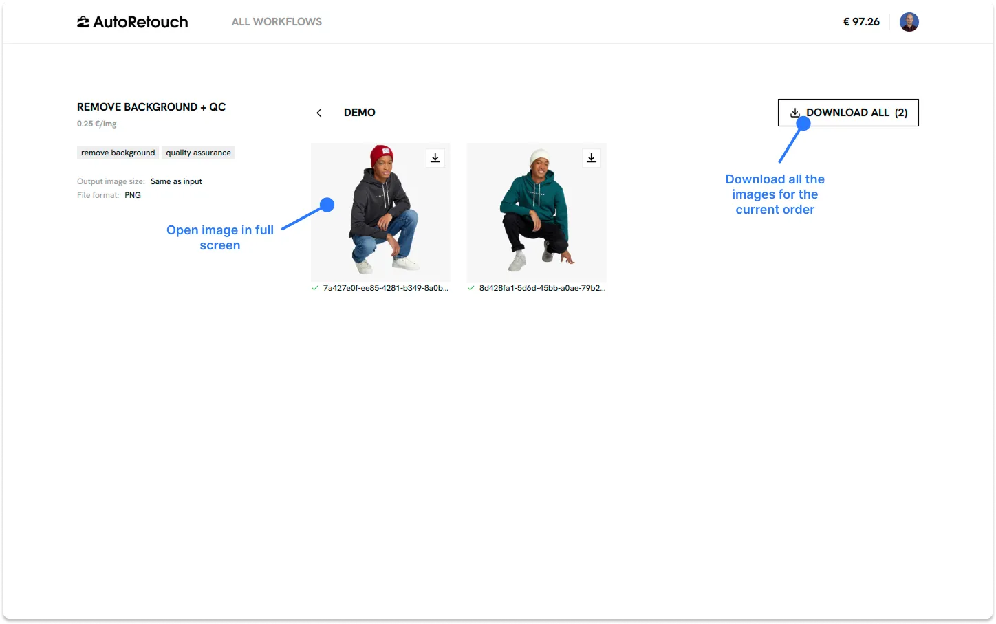 Download results screen